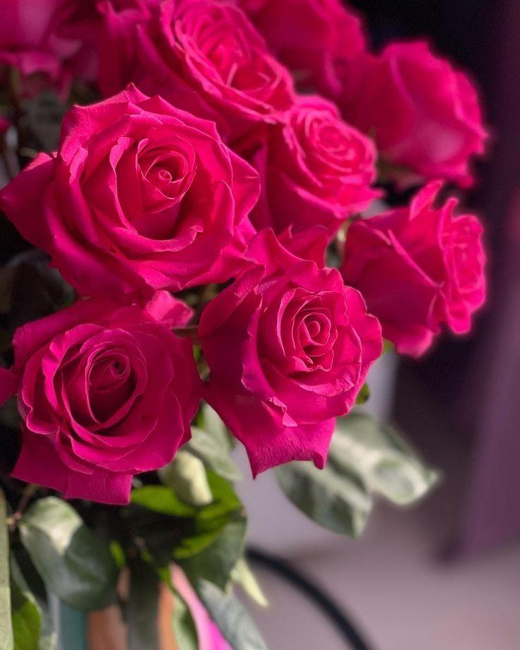 Corporate meeting room with carefully timed floral arrangements that maintain elegance throughout business hours